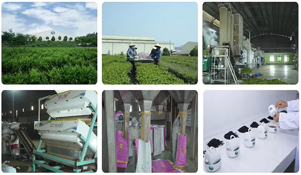 productcate-600-350